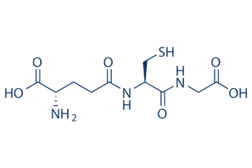 Glutathione_June 2022.png