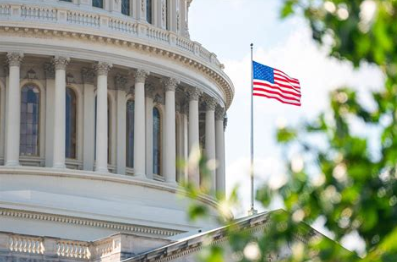 capitol-w-flag