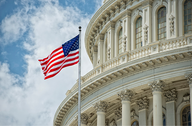 capitolflag1