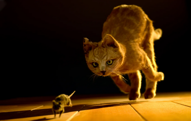 Catch him!